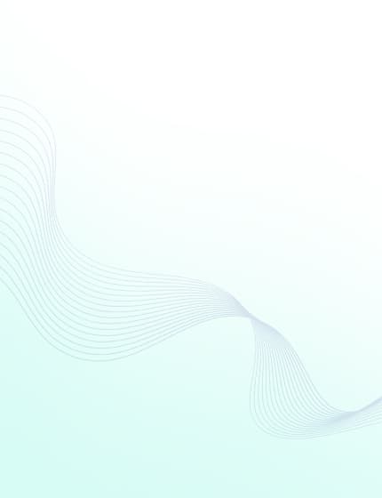 visa management software pattern banner