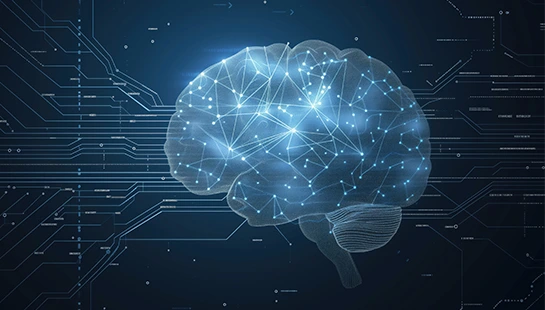 Digital human brain with connected neural networks and data circuits, representing AI and ML solutions for AI product development and technology partnerships.